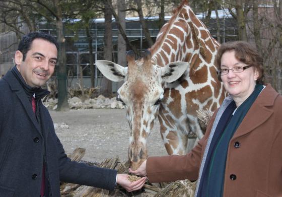 Die Tiere im Tierpark Hellabrunn fressen Christine Strobl und Rasem Baban nicht nur im übertragenen Sinne aus der Hand.	Foto: cr
