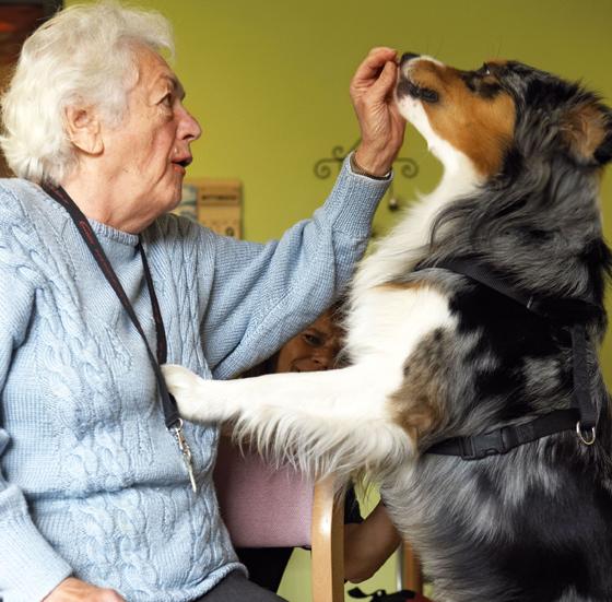 Eine schöne Begegnung: Pflegeheimbewohnerin Maria Ohnsorge mit Demenzhelfer-Hund Grisu. Foto: Birgit Betzelt